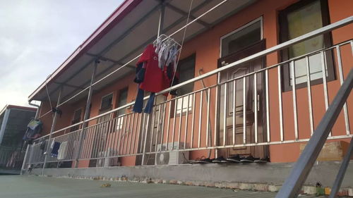 调查笔记 张村里的寄居者