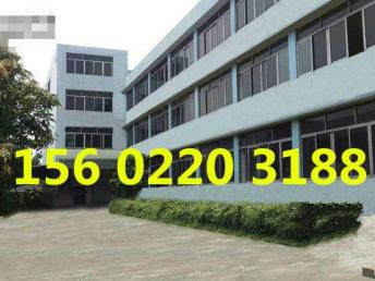 图 番禺石基市莲路8500方标准厂房出租 广州厂房 仓库 土地