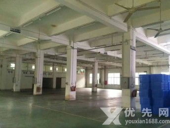 图 松岗厂房出租塘下涌一楼1650平五米高厂房出租 深圳厂房 仓库 土地