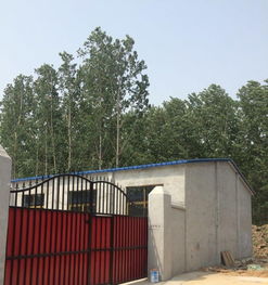 工业厂房出租，灵活空间适用于仓库、家具加工等多类用途